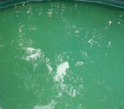 Green Tinted Water